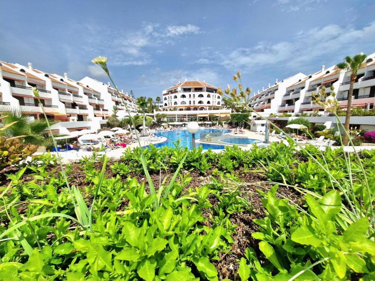 Parque Santiago 1 F-348 By Tenerife Dream Properties Playa de las Americas  Ngoại thất bức ảnh
